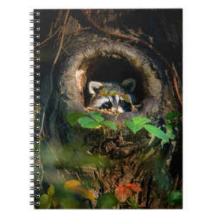 Forces   Raccoon Peeking Notitieboek