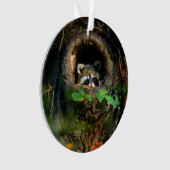 Forces | Raccoon Peeking Ornament (voorkant)