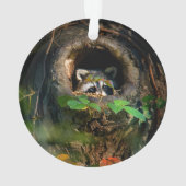 Forces | Raccoon Peeking Ornament (achterkant)