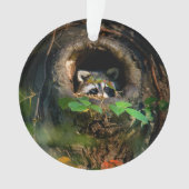 Forces | Raccoon Peeking Ornament (voorkant)