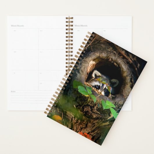 Forces | Raccoon Peeking Planner (Display)