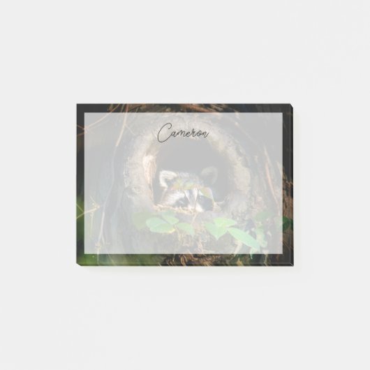 Forces | Raccoon Peeking Post-it® Notes (Voorkant)