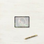 Forces | Raccoon Peeking Post-it® Notes (Op bureau)