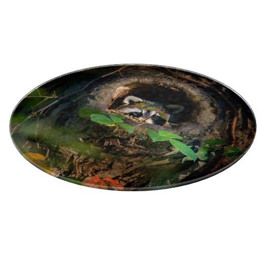 Forces | Raccoon Peeking Snijplank (Hoek)