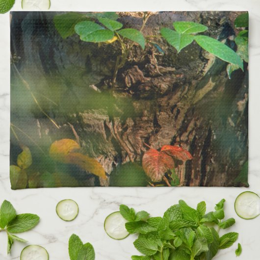 Forces | Raccoon Peeking Theedoek (Gevouwen)