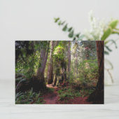 Forces | Redwood Forest California Bedankkaart (Staand voorkant)