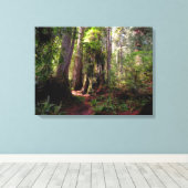 Forces | Redwood Forest California Canvas Afdruk (Insitu (Houten vloer))