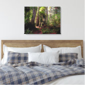 Forces | Redwood Forest California Canvas Afdruk (Insitu (Slaapkamer))