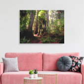 Forces | Redwood Forest California Canvas Afdruk (Insitu (Woonkamer))