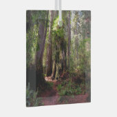 Forces | Redwood Forest California Glas Ornament (Voorkant Rechts)