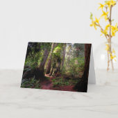 Forces | Redwood Forest California Kaart (Gele Bloem)