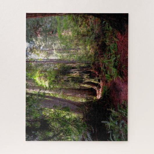 Forces | Redwood Forest California Legpuzzel (Verticaal)