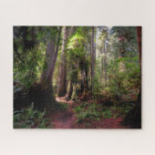 Forces | Redwood Forest California Legpuzzel (Horizontaal)