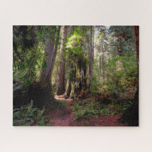 Forces Redwood Forest California Legpuzzel