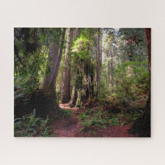 Forces | Redwood Forest California Legpuzzel (Horizontaal)
