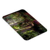 Forces | Redwood Forest California Magneet (Rechterzijde)