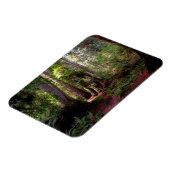 Forces | Redwood Forest California Magneet (Linkerzijde)