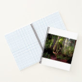 Forces | Redwood Forest California Notitieboek (Binnen)