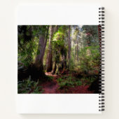 Forces | Redwood Forest California Notitieboek (Achterkant)