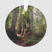 Forces | Redwood Forest California Ornament (voorkant)