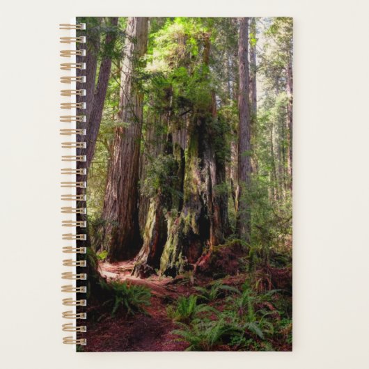 Forces | Redwood Forest California Planner (Voorkant)