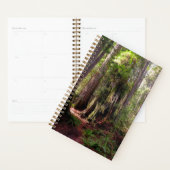 Forces | Redwood Forest California Planner (Display)