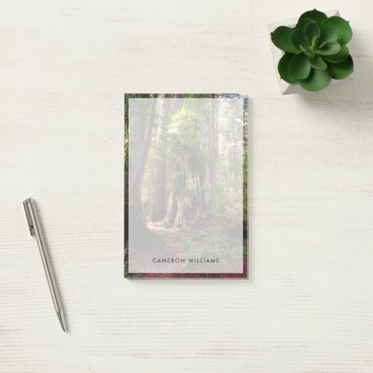 Forces | Redwood Forest California Post-it® Notes (Kantoor)