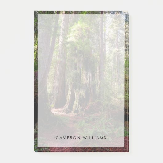 Forces | Redwood Forest California Post-it® Notes (Voorkant)
