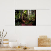 Forces | Redwood Forest California Poster (Keuken)
