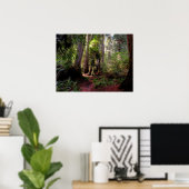 Forces | Redwood Forest California Poster (Thuiskantoor)