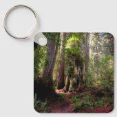 Forces | Redwood Forest California Sleutelhanger (Voorkant)