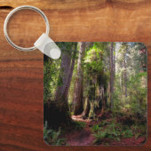Forces | Redwood Forest California Sleutelhanger (Voorkant)