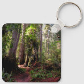 Forces | Redwood Forest California Sleutelhanger (Achterkant)
