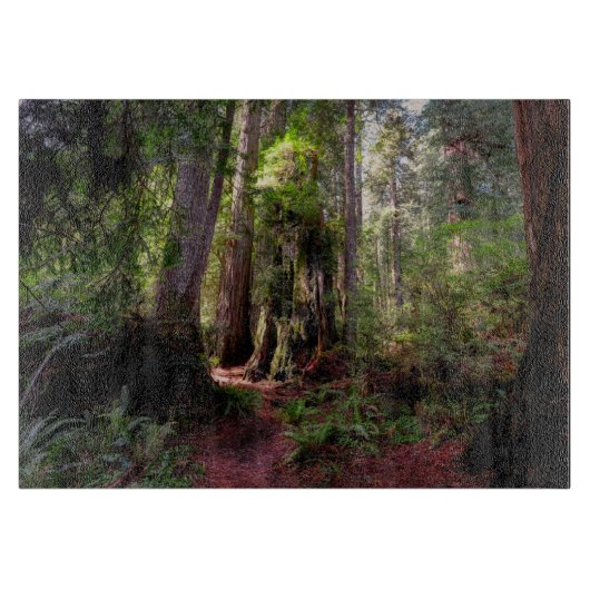 Forces | Redwood Forest California Snijplank (Voorkant)