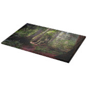Forces | Redwood Forest California Snijplank (Hoek)