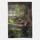 Forces | Redwood Forest California Theedoek (Verticaal)