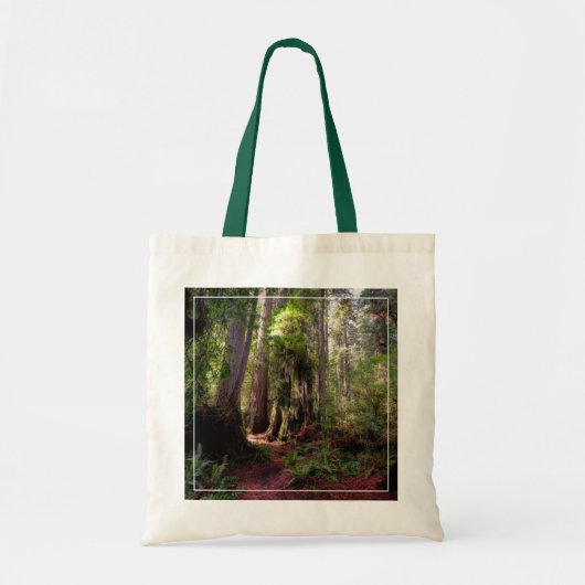 Forces | Redwood Forest California Tote Bag (Voorkant)