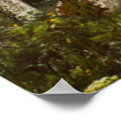 Forces | Sun Peeking Thru Poster (Hoek)