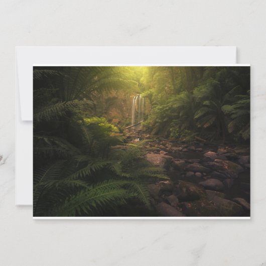 Forces | Sunlight Highlights Waterfall Bedankkaart (Voorkant)