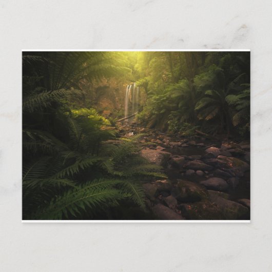 Forces | Sunlight Highlights Waterfall Briefkaart (Voorkant)