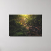 Forces | Sunlight Highlights Waterfall Canvas Afdruk (Voorkant)