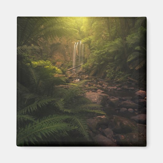 Forces | Sunlight Highlights Waterfall Magneet (Voorkant)