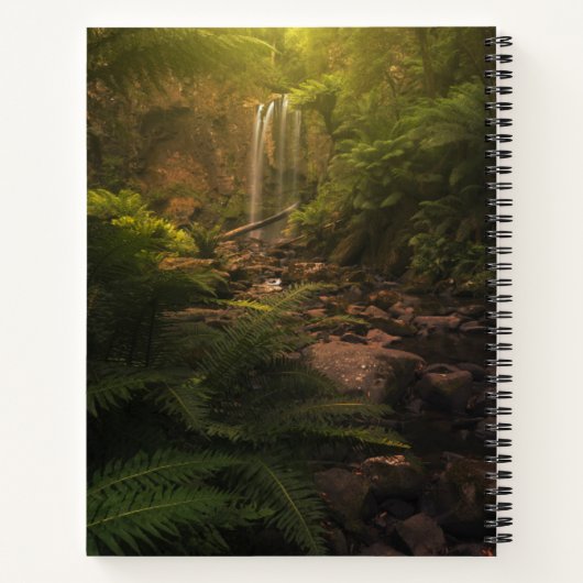 Forces | Sunlight Highlights Waterfall Notitieboek (Achterkant)