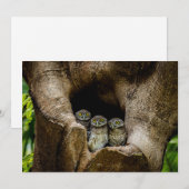 Forces | Three Owls Looking Bedankkaart (Voorkant / Achterkant)