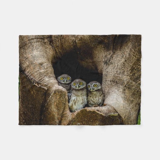 Forces | Three Owls Looking Fleece Deken (Voorkant (Horizontaal))