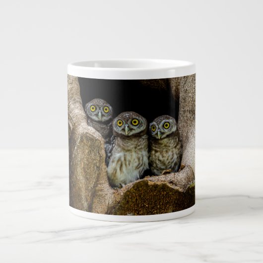 Forces | Three Owls Looking Grote Koffiekop (Voorkant)