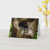 Forces | Three Owls Looking Kaart (Gele Bloem)