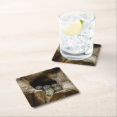 Forces | Three Owls Looking Kartonnen Onderzetters (Insitu)