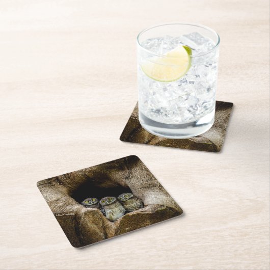 Forces | Three Owls Looking Kartonnen Onderzetters (Insitu)