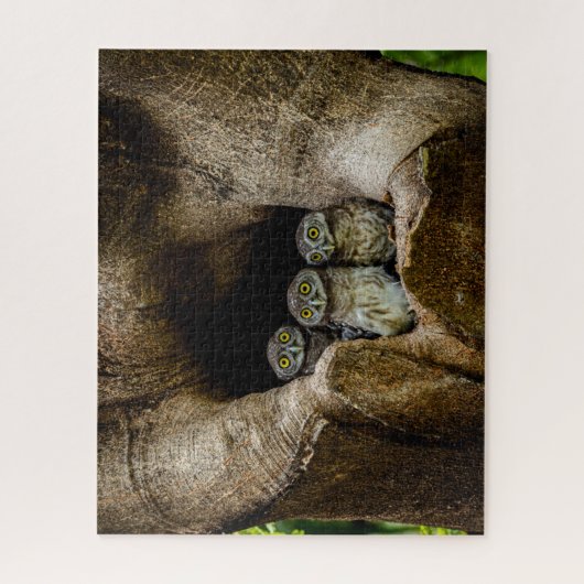 Forces | Three Owls Looking Legpuzzel (Verticaal)